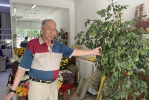 Direkt güneş ışığı çiçekler için zararlı