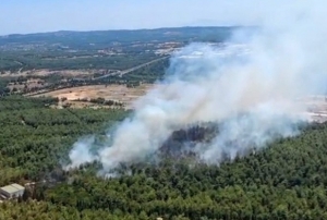 İzmir Buca'da orman yangını çıktı