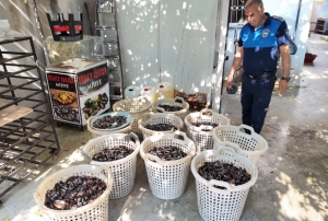 200 kilo bozuk midye dolması ele geçirildi