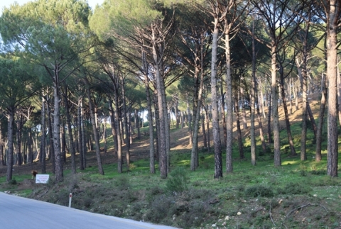 Alt�n de�erindeki k�nara kameral� �nlem