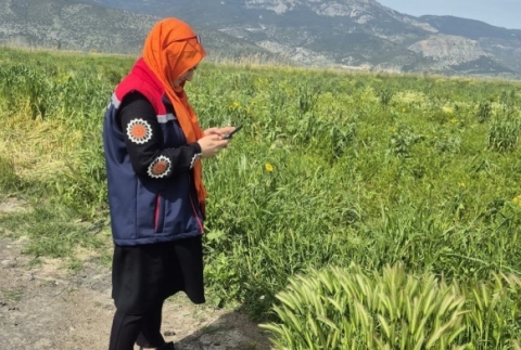 Tar�m arazilerinde hastal�k ve zararl� mesaisi