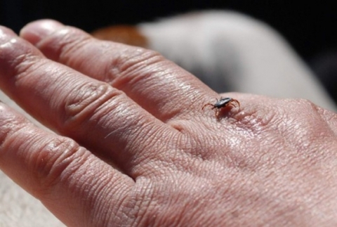 Kene sezonu a��ld�!