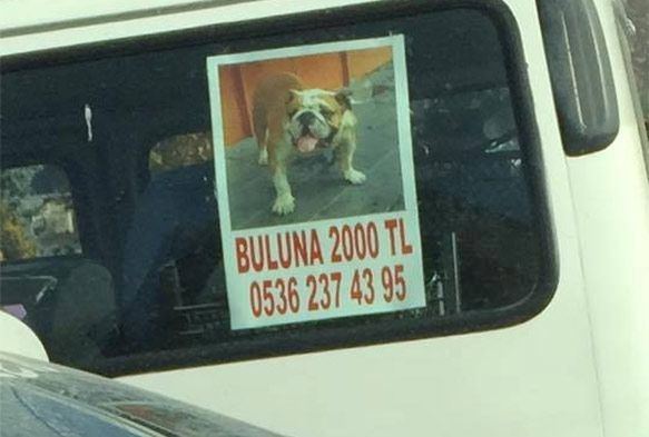 'Sihirli Annem'in Taci'si kayboldu