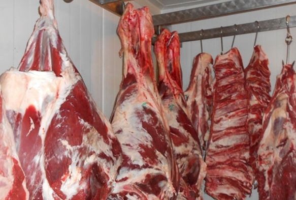 Kayseri'de 2 ton kaak et ele geirildi!