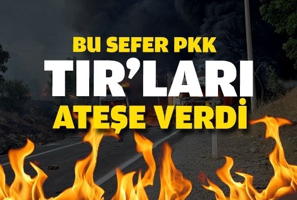dilde Yol Kesen Terristler, 3 Tr Atee Verdi