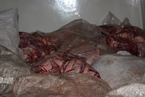 2 bin 700 kilo kaak et yakaland