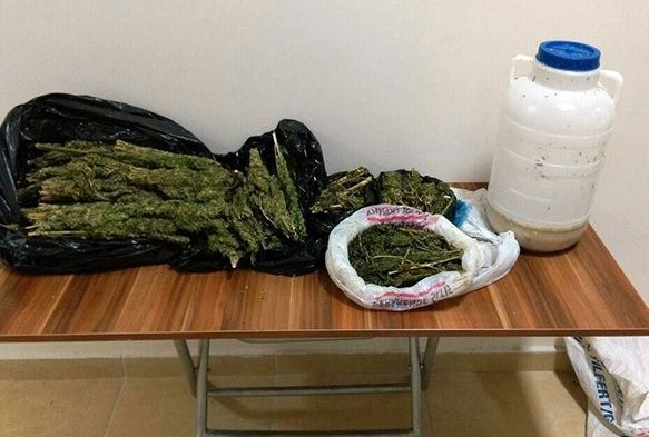 Peynir Bidonunda Uyuşturucu Taşırken Yakalandı