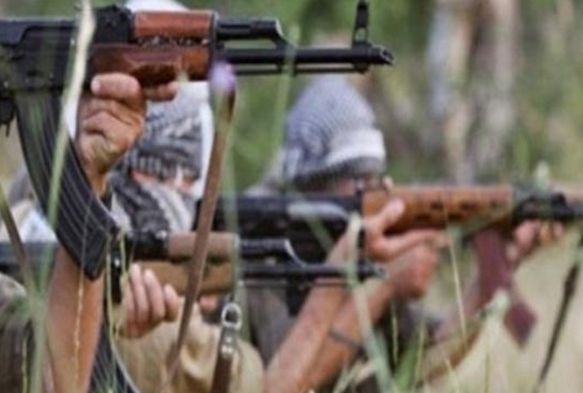 PKK'ya ağır darbe; 292 terörist etkisiz hale getirildi