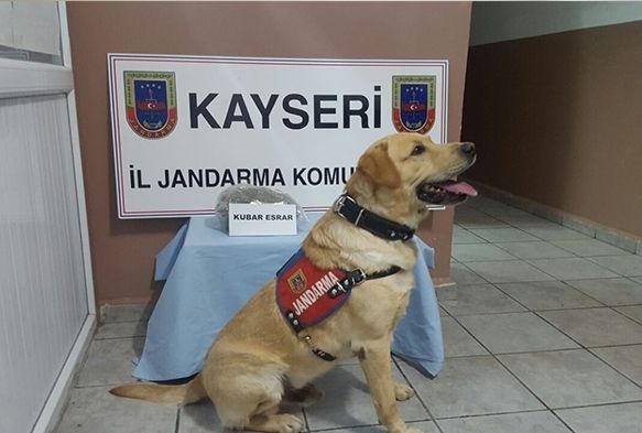 Jandarma'dan uyuşturucu operasyonu