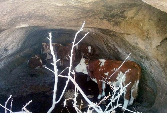 Kayseri’de polisin 'Kızılderili takibi'