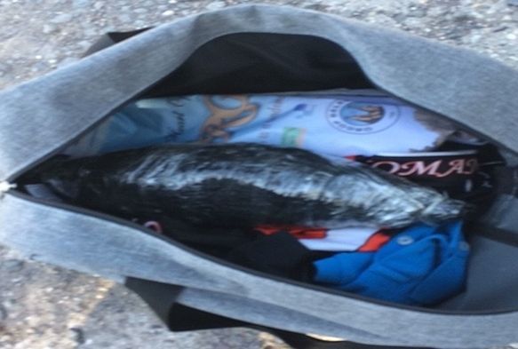 Yolcuların valizinden 465 gram kubar esrar çıktı
