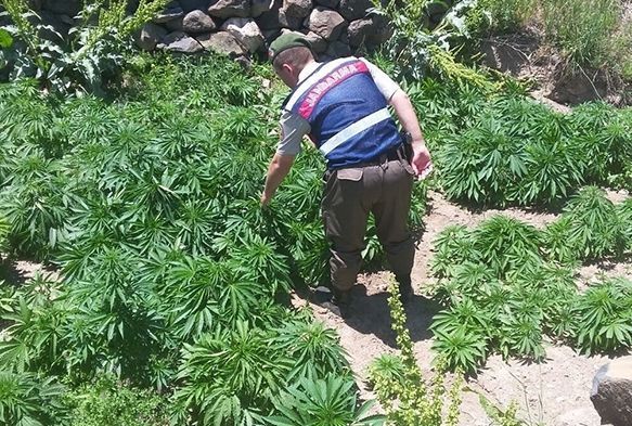 İncesu'da uyuşturucu operasyonu:1 gözaltı