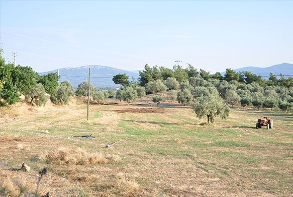  Traktr Kazas: 1 l