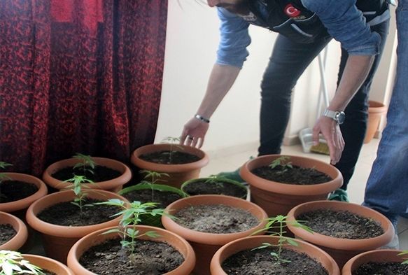 2017'nin İlk 7 ayında 977 kişiye uyuşturucudan işlem yapıldı