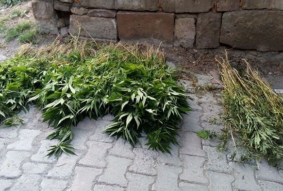 Jandarma zehir tacirlerine göz açtırmadı