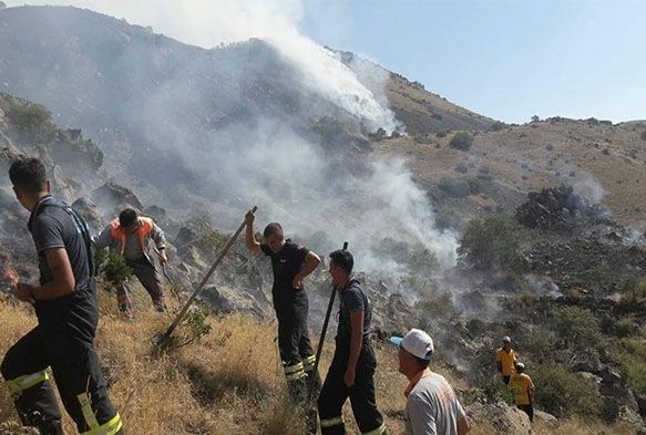 Yılanlı Dağı'nda çıkan yangın söndürüldü
