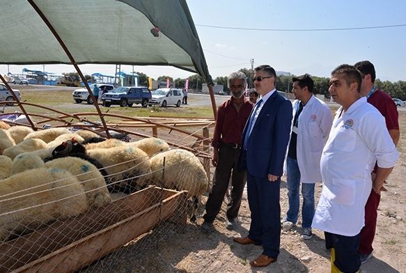 “Kurban Bayramı için gerekli tedbirleri aldık”