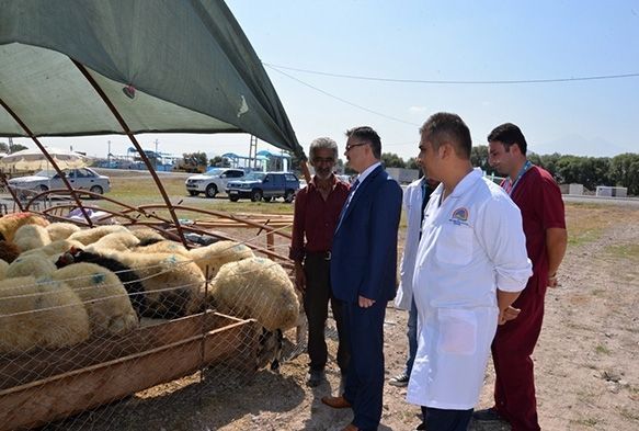 Tarım İl Müdürlüğü'nden Kurban Alacak Olanlara Büyük Hizmet