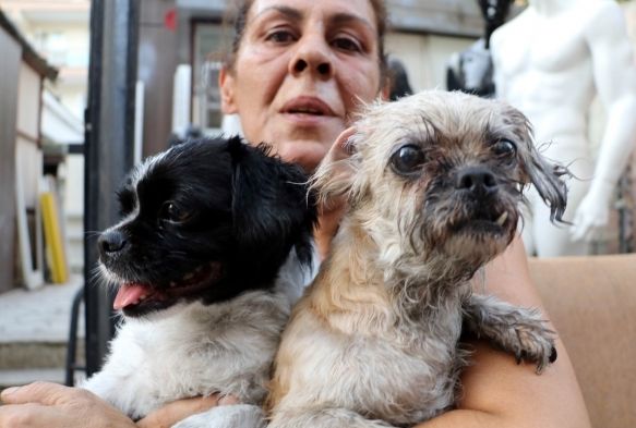 Kedi, kpek ve papaanlar yanmaktan son anda kurtarld