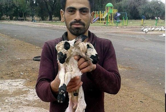 “İkiz bekliyorduk iki başlı doğdu”