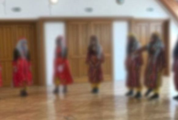 Halk oyunlar ekibi Macaristan'a iltica etti