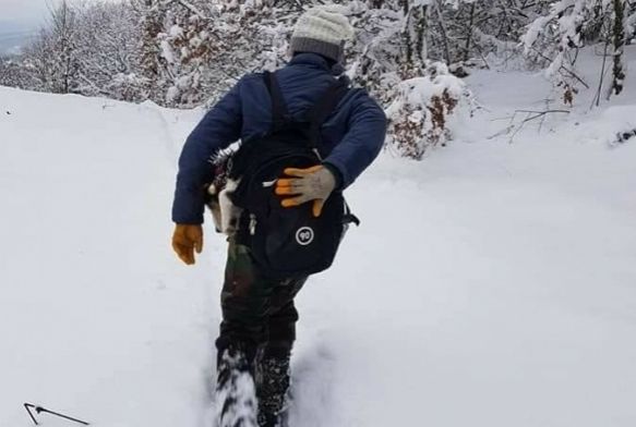 Hastalanan kpeini antasnda 7 kilometre tad