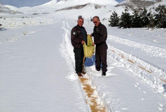 Orman ve Su İşleri Müdürlüğü yaban hayvanları için yem bıraktı