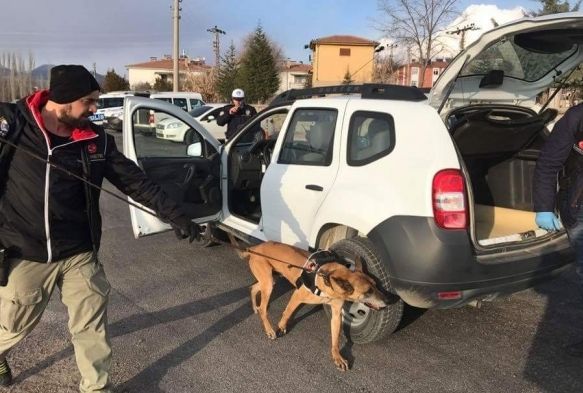 Develi’de narkotik inceleme
