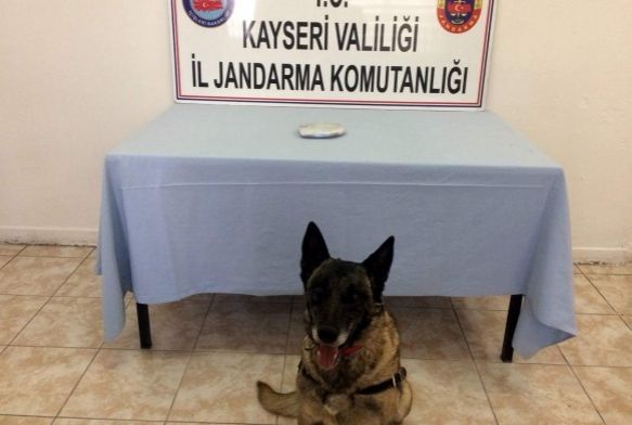 Jandarma uyuturucu tacirlerine gz atrmyor