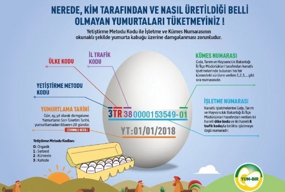 Yumurtada kodlu dnem! 1 Nisan'da balyor