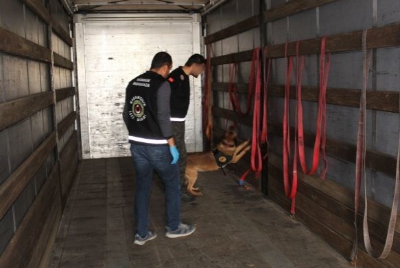 Bo trdan servet deerinde 'zehir' kt