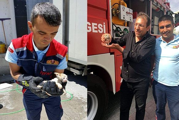 Mahsur kalan bayku ve yaralanan yavru kediyi itfaiye kurtard