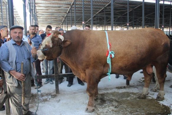 1 ton 600 kiloluk 'Paa' otomobil fiyatna satld