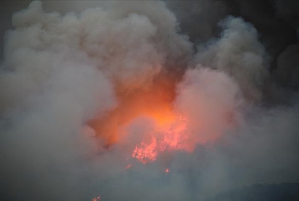 Hatay'daki orman yangn yerleim blgesini tehdit ediyor