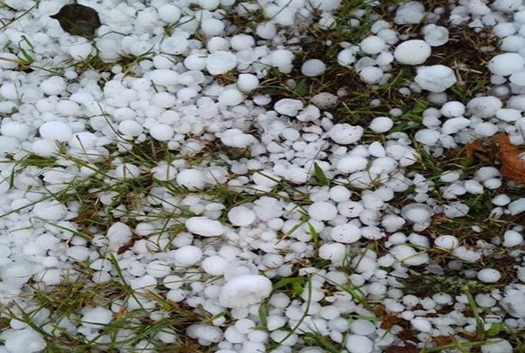 Ordu'da dolu ya