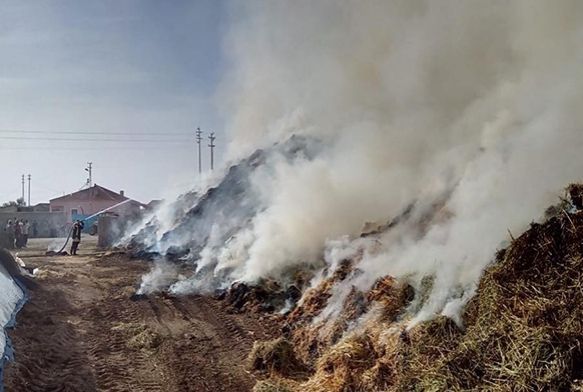 Sigara izmariti 3 bin balya saman kl etti