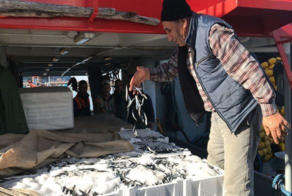  Balklar tonlarca hamsiyle dndler
