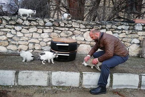 Sokaktaki kediler mesin diye lastikten kedi evi yapt
