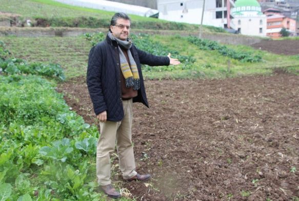Patates üretimi yapan ülkelerde “Patates Siğili Hastalığı” görülüyor