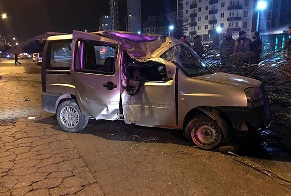 Kamyonet ağaca çarptı: 2 yaralı