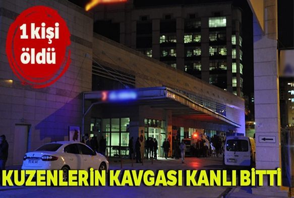 Kuzenlerin kavgas kanl bitti: 1 l