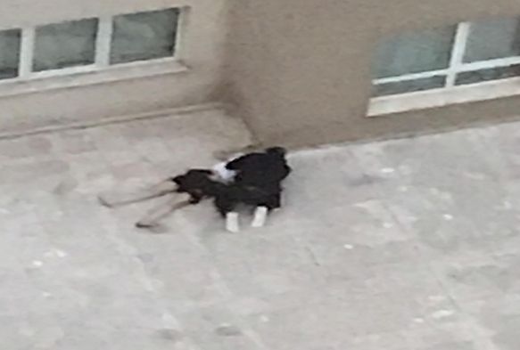 Gen kz itiraf etti: 