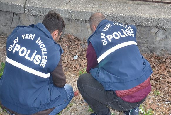 Toprağa gömülen cenini, köpekler bulup çıkardı