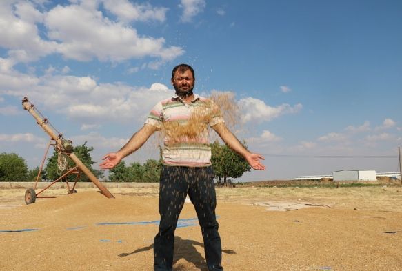 30 ton buğday yüklü tırla kayıplara karıştı