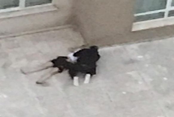 4. kattan düşen sevgilisinin başında ağlayan gence tahliye