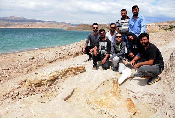 Baraj kıyısından 280 fosil çıktı