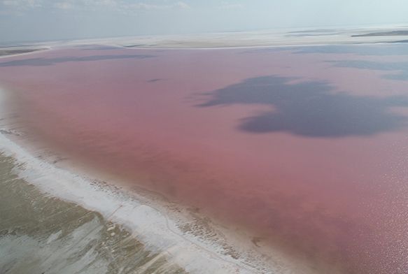 Tuz Gl pembe renge brnd
