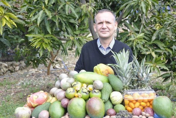 Tropikal meyveler yok satyor