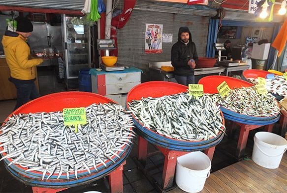 Hamsi 35 lira ile rekor krd