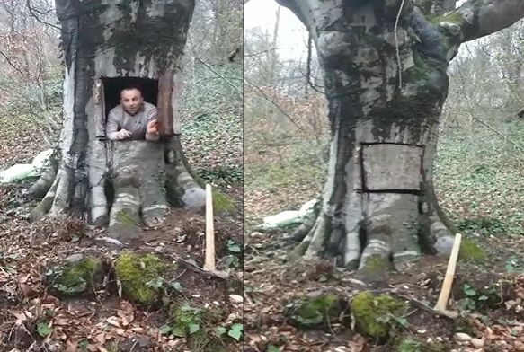 Korona virse kar ald nlemle glmsetti